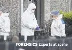  ??  ?? FORENSICS Experts at scene