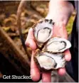  ??  ?? Get Shucked