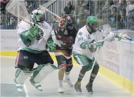  ??  ?? Shamrocks defender Ben McCullough, with a little help from goaltender Cody Hagedorn fends off Timbermen forward Gord Philips during WLA action at The Q Centre on Friday.