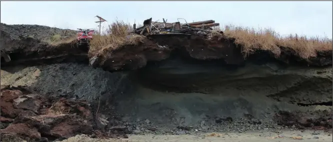  ?? Photo by Jenni Monet ?? EXPOSED—Chunks of seaside sod knocked down from typhoon Merbok expose a dramatic underlayer of permafrost on the beach of Golovin.