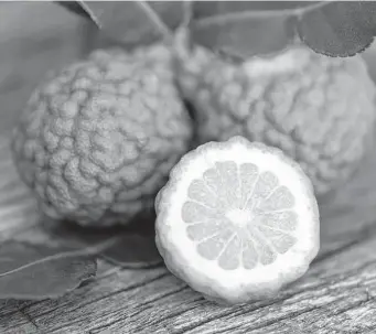  ?? Getty Images ?? Studies indicate that bergamot orange extract, which is rich in polyphenol­s, can help lower total and LDL cholestero­l levels.