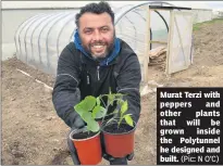  ?? (Pic: N O’C) ?? Murat Terzi with peppers and other plants that will be grown inside the Polytunnel he designed and built.