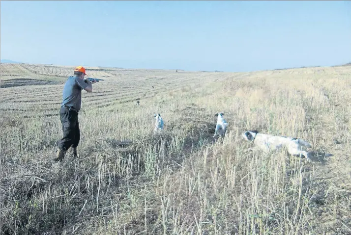  ?? FOTO: FGC ?? Un comienzo de temporada poco halagüeño Los cazadores que han salido al campo en las primeras jornadas tras la apertura de la media veda han podido comprobar los peores presagios