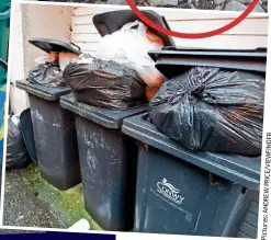 ??  ?? Bags of trouble: Donna PimleyJone­s with grandson Harrison, three, and their four weeks’ worth of rubbish. Above: Lines of overflowin­g bins and (top, circled) a dead rat, possibly attracted by stinking refuse