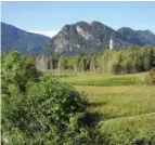  ??  ?? Postkarten­allgäu: der Blick auf den Pfrontener Kichturm hinter dem Moos.