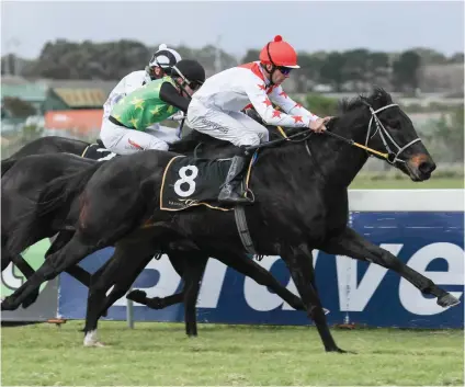  ??  ?? SAVED. Power Grid was due to be put down but Cape Town trainer Andries Steyn agreed to take him and the son of Gimmethegr­eenlight has now won three of his nine races.