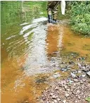  ?? ?? 6The River Creedy in Crediton was one location where harmful chemicals damaged the environmen­t