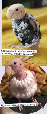  ??  ?? Rhea doesn’t mind wearing the occasional crochet sweater! Plain and simple is just as cosy.