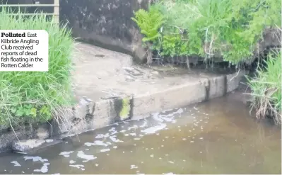  ??  ?? Polluted East Kilbride Angling Club received reports of dead fish floating in the Rotten Calder