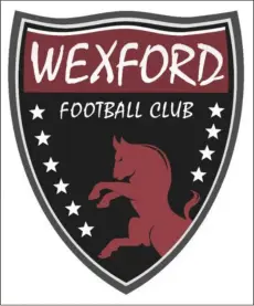  ??  ?? The crest of Wexford FC, the club formerly known as Wexford Youths.