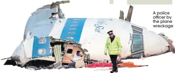  ??  ?? A police officer by the plane wreckage