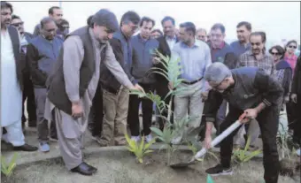  ?? -APP ?? National Bank officials Jamal Baquar and Shaukat Mahmood planting a sapling at the Gwadar Developmen­t Authority Hospital to initiate plantation drive.