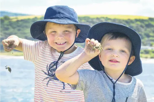  ?? PHOTO: CHRISTINE O’CONNOR ?? Little nippers . . . Brothers Hudson (6, left) and Harvey (4) Sides show off the small crabs they caught while playing on the beach at Taieri Mouth on Saturday.