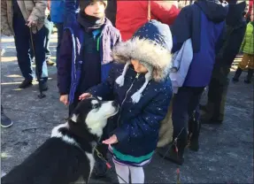  ?? GLENN GRIFFITH - MEDIANEWS GROUP ?? Five-year-old Siberian husky Savannah is greeted by an adoring fan during a presentati­on on dogsleds at the Clifton Park-Halfmoon Library