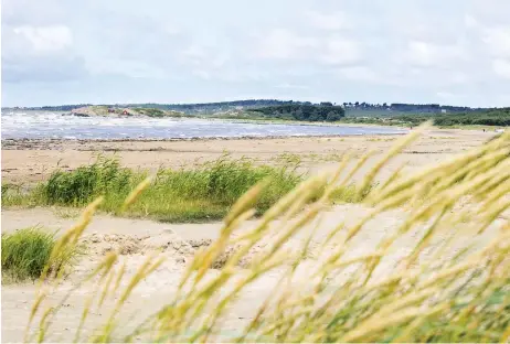  ?? Bild: ELIN PALMBORG ?? LÅNGASAND. Som skäl för att anta en mer varsam utveckling­stakt av Långasand anges en mängd argument.