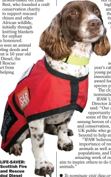  ??  ?? LIFE-SAVER: Scottish Fire and Rescue dog Diesel