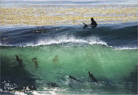  ?? Patrick T. Fallon For The Times ?? A SURFER waits for a wave at Lunada Bay, the infamous Palos Verdes Estates surf break where a group of locals known as the Bay Boys has been accused of intimidati­ng and harassing outsiders. An actor and body boarder plans to host a peaceful protest...