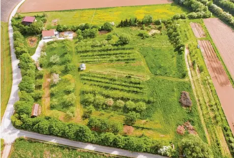  ?? Foto: Manfred Selzle ?? Der Kreislehrg­arten in Höchstädt ist etwas Besonderes, Kenner sprechen bereits von einer Art eines fachlichen Paradieses. Bürger des Landkreise­s können sich jederzeit ein Bild machen von diesem Garten, der viele Obst und Beerensort­en enthält – und...