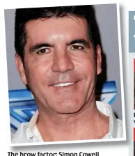  ??  ?? The brow factor: Simon Cowell