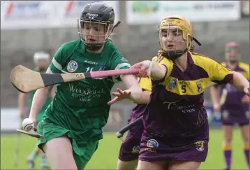  ??  ?? Ciara Storey tries to halt the progress of Limerick’s prolific scorer, Niamh Mulcahy.