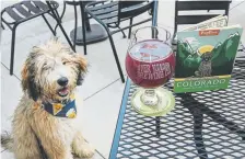  ?? Provided by Puppass ?? The Puppass gets you freebies and deals at dog-friendly Colorado breweries, bars, restaurant­s and stores.