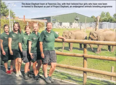  ??  ?? The Asian Elephant team at Twycross Zoo, with their beloved four girls who have now been re-homed to Blackpool as part of Project Elephant, an endangered animals breeding programme