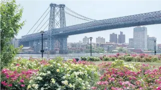  ?? THE MONACELLI PRESS ?? Photograph­er Betsy Pinover Schiff says New Yorkers love their “gorgeous garden spaces.”