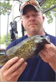  ??  ?? Not all record fish are whoppers. Dan Bierly of Clinton made the book with this 1-pound, 1-ounce Ozark bass caught in Norfork Lake.