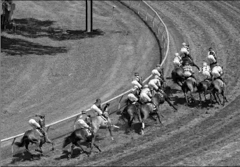  ?? BARBARA D. LIVINGSTON ?? Fair Grounds runs concurrent with regional tracks Delta Downs and Oaklawn Park this winter. But the New Orleans track has something they don’t – a turf course.