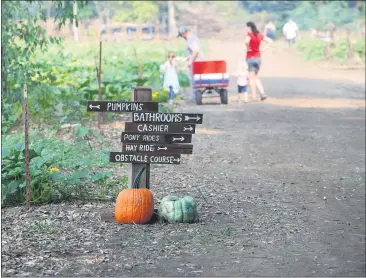  ?? PHOTOS BY RICK SILVA— PARADISE POST ?? Families returned to TJ Farms over the weekend. About 25,000people go to the farm every October.