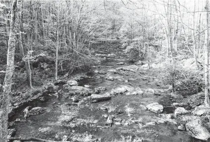  ?? Matt Wyatt / Staff ?? A newlywed outdoors writer recently spent time in the Great Smoky Mountains, where native brook trout are making a comeback.