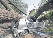  ?? ARVIND YADAV/HT FILE ?? A car lies crushed under a tree that was uprooted after a thundersto­rm hit Delhi early on Wednesday.