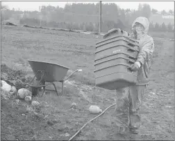  ??  ?? Heather Stretch works in all weather on Northbrook Farm, her small- scale organic farm on Vancouver Island. Stretch is one of the authors of All the Dirt, a memoir and instructio­nal manual about setting up an organic farm.