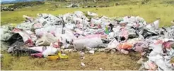  ??  ?? WHAT A MESS: The bags and dumped carcasses outside Newvale