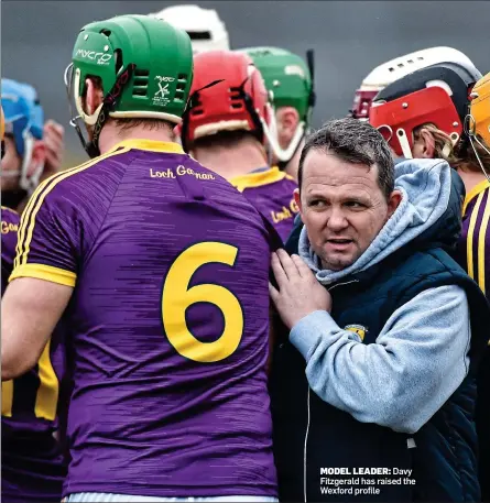  ??  ?? MODEL LEADER: Davy Fitzgerald has raised the Wexford profile