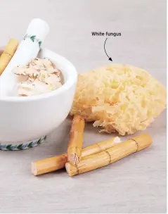  ??  ?? White fungus