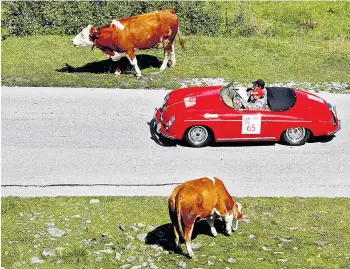  ??  ?? Bei Oldtimerra­llyes wie der Ennstal Classic führen Besitzer und Promis das Garagengol­d flott aus. Kaufen kann man die Schätze beim Autotandle­r oder bei der Edelauktio­n.