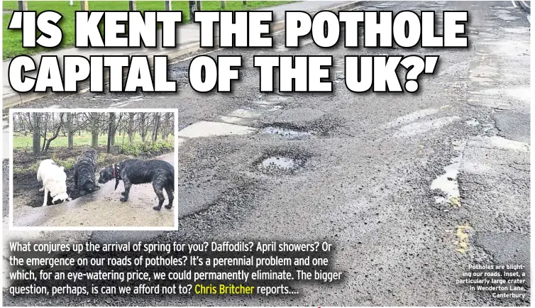  ??  ?? Potholes are blighting our roads. Inset, a particular­ly large crater in Wenderton Lane, Canterbury