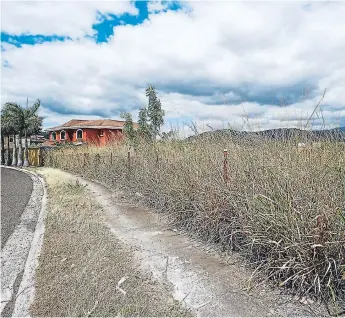  ?? FOTO: EL HERALDO ?? El temor de los colonos del sector es que la maleza seca agarre puego y dañe las casas que colindan con los terrenos. En criadero de roedores se han convertido las propiedade­s. Víctor Estrada Envíe sus denuncias vía Fhatsapp al número celular 9940-0221 o por telépono al 2236-7877.