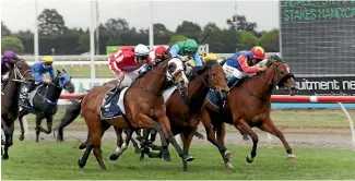  ??  ?? Twelve-year old El Chico won his 24th race at Ashburton yesterday. He is pictured here winning the Stewards Handicap at Riccarton last year.