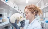  ?? ?? Anthropolo­gist Valeria Amoretti examines a skull in Pompeii, Italy. Amoretti leads Pompeii’s laboratory of applied research.