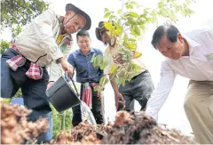  ??  ?? People attending a rice workshop water a tree in a symbolic gesture of cooperatio­n to improve the quality of the crops grown.