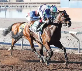  ?? ?? El potro ganador tuvo en la monta al jockey Antonio Fresu