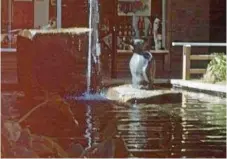  ?? Photo: Contribute­d ?? MISSING STATUE: Burke and Wills Hotel is offering $10,000 to anyone who can track down Shillam the penguin, pictured at the original Lennon’s Hotel.