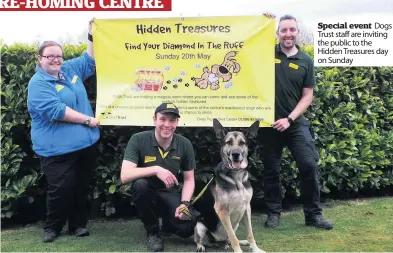 ??  ?? Special event Dogs Trust staff are inviting the public to the Hidden Treasures day on Sunday