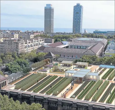  ?? EIXVERD ?? 3
2
1
4
6
5
Proyecto de cubierta agrícola en lo alto del Dipòsit de les Aigües, en Barcelona
9
10
7
8