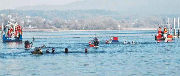  ?? FOTO: ISA ?? Beim Nikolaussc­hwimmen wagen 23 Unerschroc­kene der Wasserwach­t Lindau und zwei Extremspor­tler den Weg durchs kalte Nass.