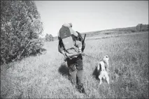  ?? CASPER HEDBERG / THE NEW YORK TIMES ?? Mikael Karlsson, a game warden, takes his 2-year-old daughter Irma and dog Boris hunting near Spöland, in northern Sweden. Researcher­s say that if men took on more child care responsibi­lities, it could help shrink the gender pay gap that exists, even in forward-thinking Scandanavi­an countries.