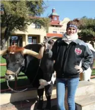  ?? JENNIFER BAIN ?? Savannah Read oversees “picture steer” Maverick on Exchange Ave. in the Stockyards. You can climb on and take your own photo for $5.