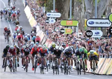  ??  ?? Ya ruedan.
Cerramos este número de CAF coincidien­do con el inicio de las primeras competicio­nes de la temporada. En el peculiar sprint en bajada de la People’s Choice Classic australian­a, Caleb Ewan (OricaScott) superó al veloz dúo del Bora-Hansgrohe...